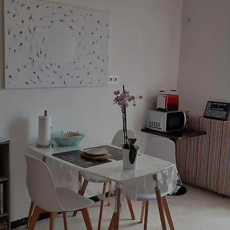 Bel Avec Grande Terrasse Ensoleillee Et Jardin * Perpignan