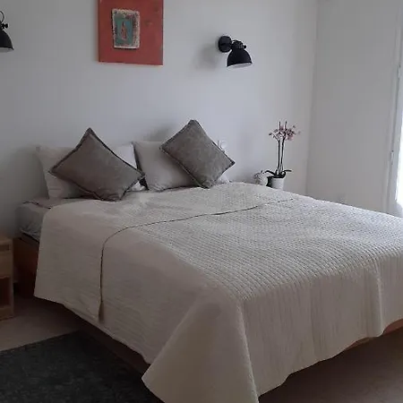 Bel Avec Grande Terrasse Ensoleillee Et Jardin Appartement