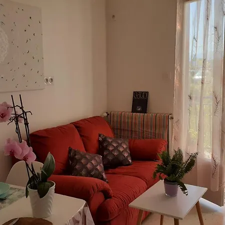 Bel Avec Grande Terrasse Ensoleillée Et Jardin * Perpignan