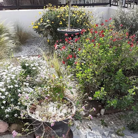 Bel Avec Grande Terrasse Ensoleillee Et Jardin *