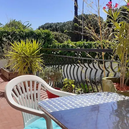 Bel Avec Grande Terrasse Ensoleillee Et Jardin Appartement *