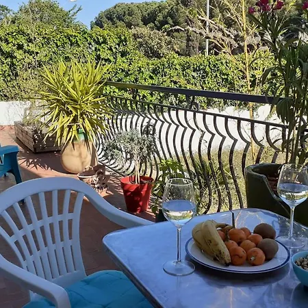 Bel Avec Grande Terrasse Ensoleillee Et Jardin Perpignan