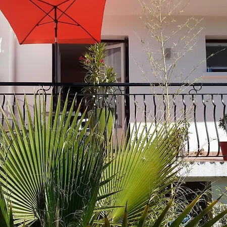 Bel Avec Grande Terrasse Ensoleillee Et Jardin Apartman Perpignan