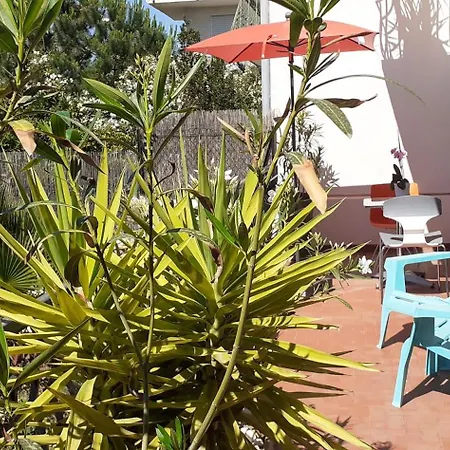 Lejlighed Bel Avec Grande Terrasse Ensoleillee Et Jardin *