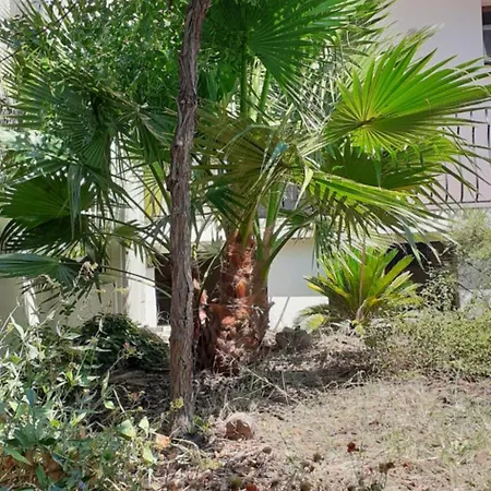 Bel Avec Grande Terrasse Ensoleillee Et Jardin * Perpignan