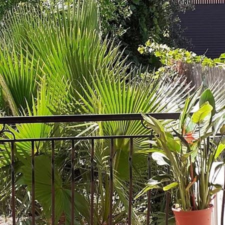 Bel Avec Grande Terrasse Ensoleillee Et Jardin * Perpignan