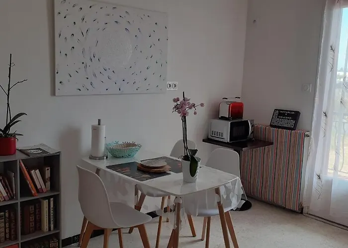 Bel Avec Grande Terrasse Ensoleillee Et Jardin * Perpignan