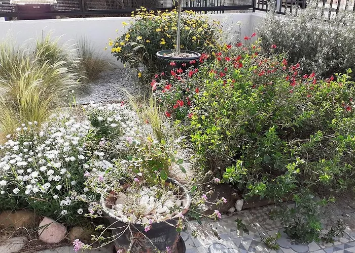 Bel Avec Grande Terrasse Ensoleillee Et Jardin *