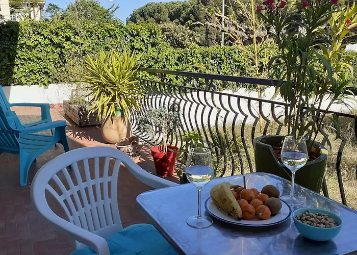 Bel Avec Grande Terrasse Ensoleillee Et Jardin Perpignan