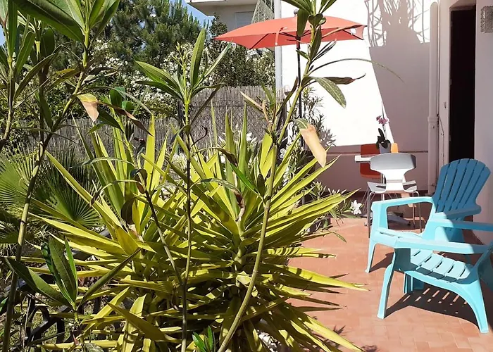 Apartment Bel Avec Grande Terrasse Ensoleillee Et Jardin *