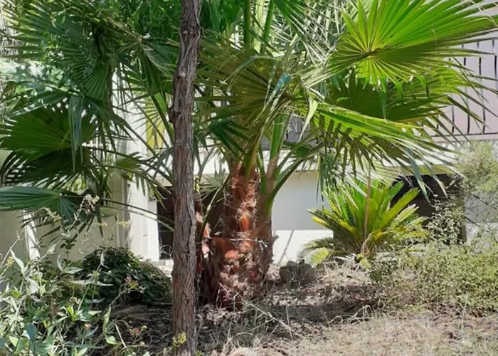 Bel Avec Grande Terrasse Ensoleillee Et Jardin * Perpignan