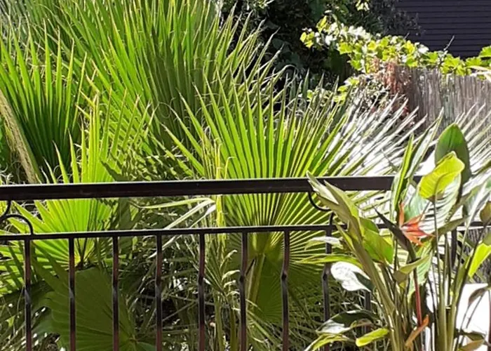 Bel Avec Grande Terrasse Ensoleillee Et Jardin * Perpignan